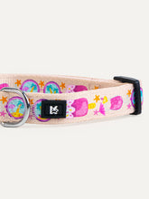 Dog Collar - Summer Sweet Carnival